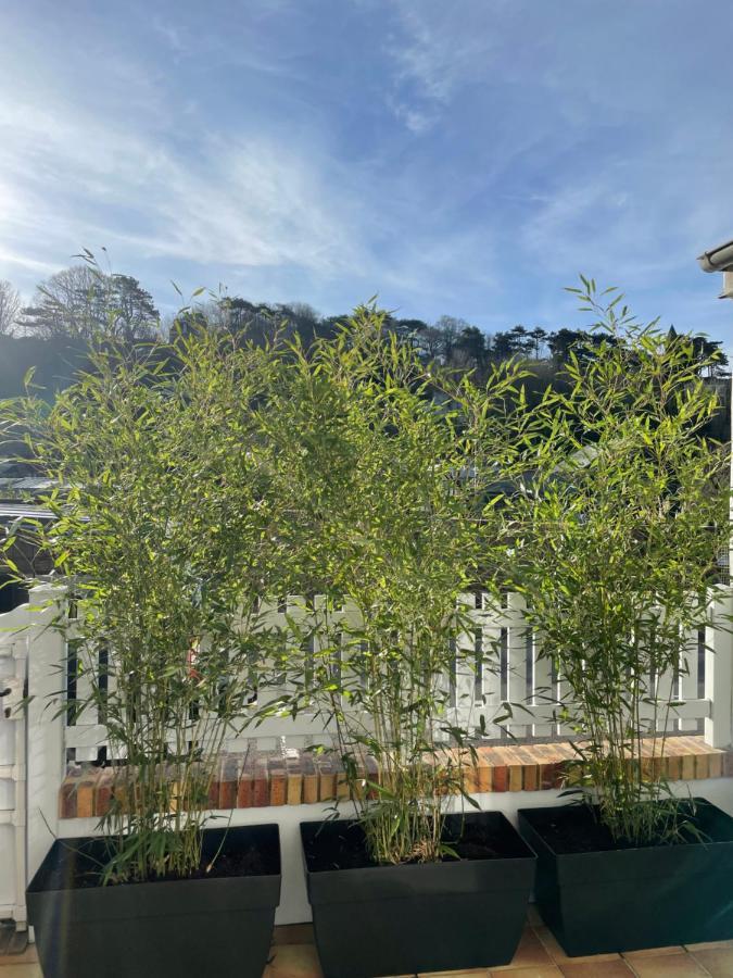 Etretat: Agreable Maison De Ville Eksteriør billede